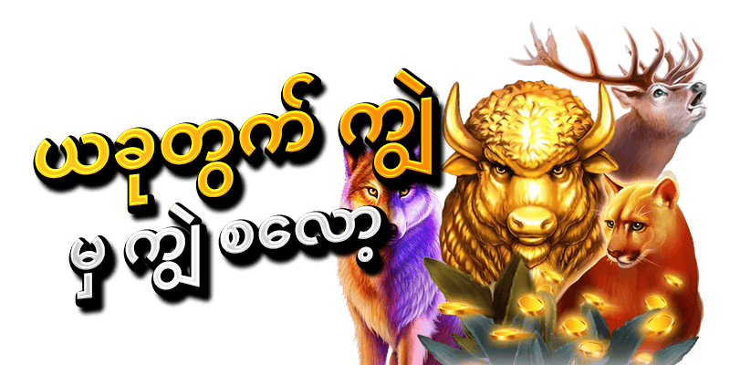 ကျွဲ
